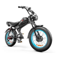 Dual-drive High-speed Electric Bike