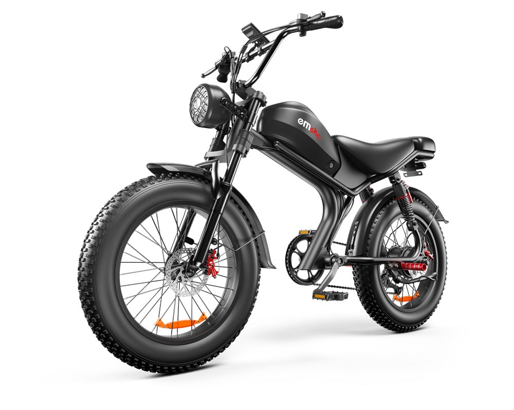 Dual-drive High-speed Electric Bike